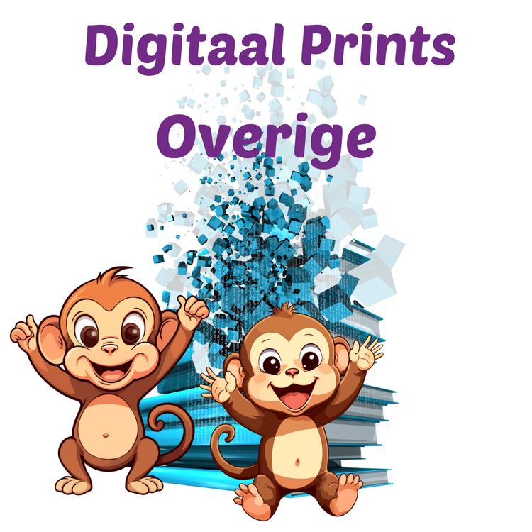 PDF Overige Creatieve Aap
