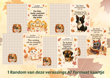 Slakkenpost Herfst 2026 – Creatief Herfstpakket met Stickers, Scrapbookpapier, Kaarten & Verrassingen